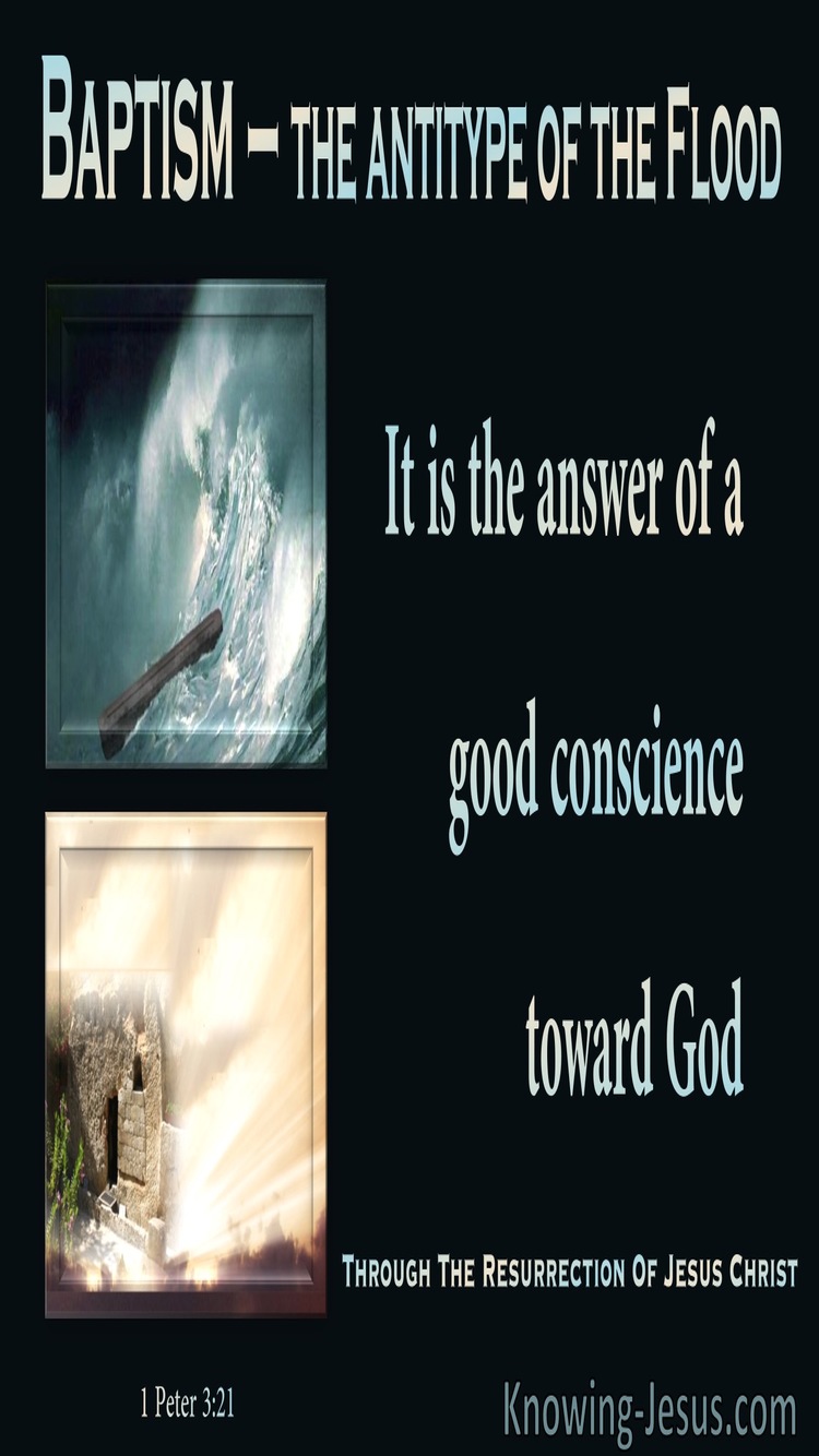 1 Peter 3:21 The A Good Conscience Towards God (beige)
